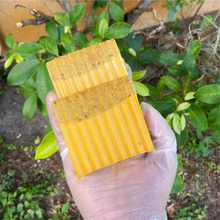 Load image into Gallery viewer, Turmeric & Oatmeal soap bar