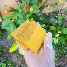 Load image into Gallery viewer, Turmeric & Oatmeal soap bar